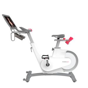 Купить Велотренажер Yesoul BV1-W PLUS в Воскресенске 